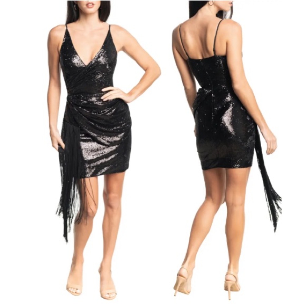 Alida Sequin Fringe Minidress
DRESS THE POPULATION